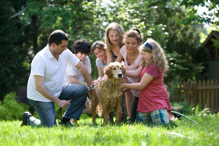 Happy family washing a dog in the backyard to illustrate connection culture at home